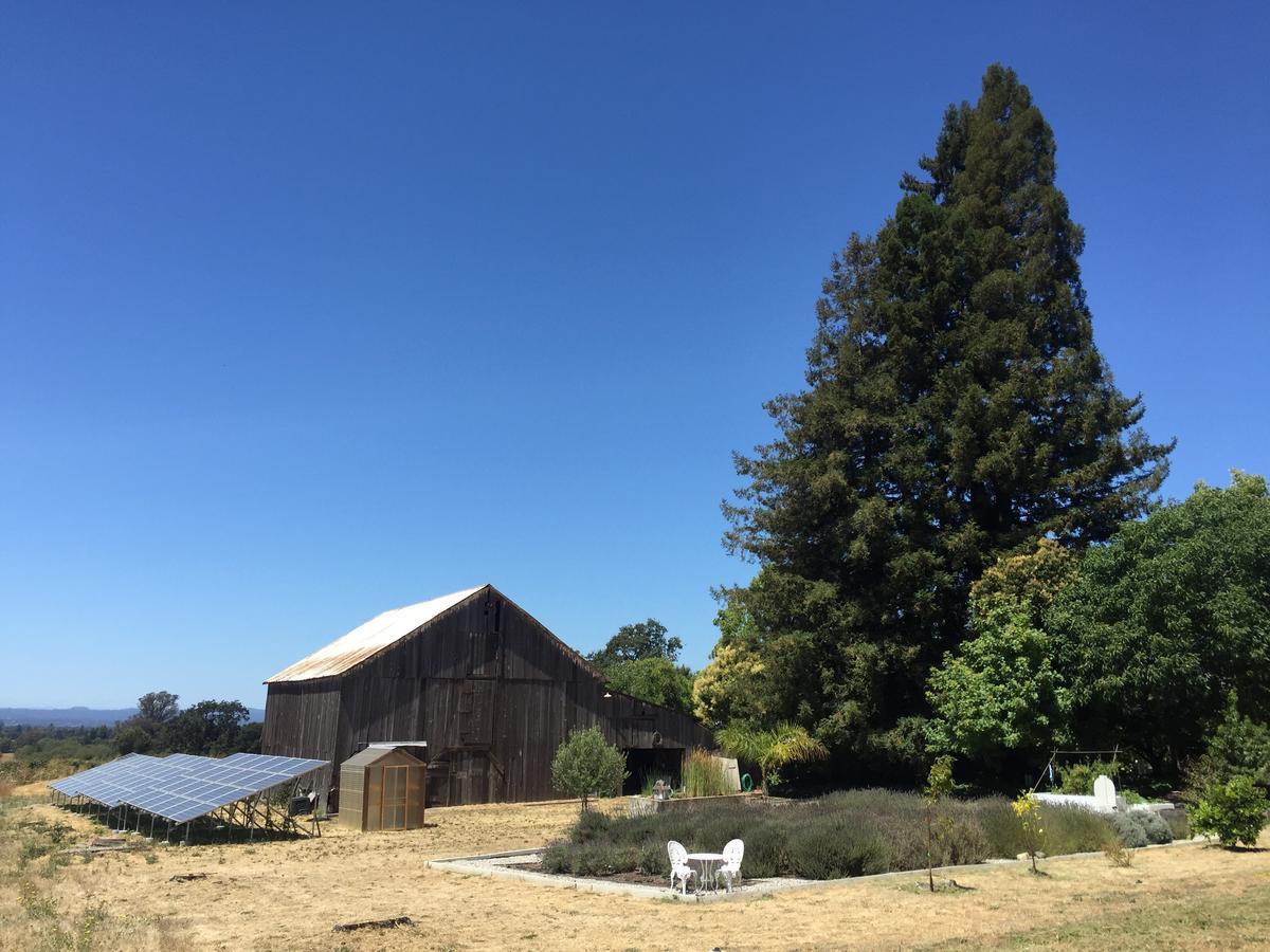 The Gables Wine Country Inn Santa Rosa Exterior foto
