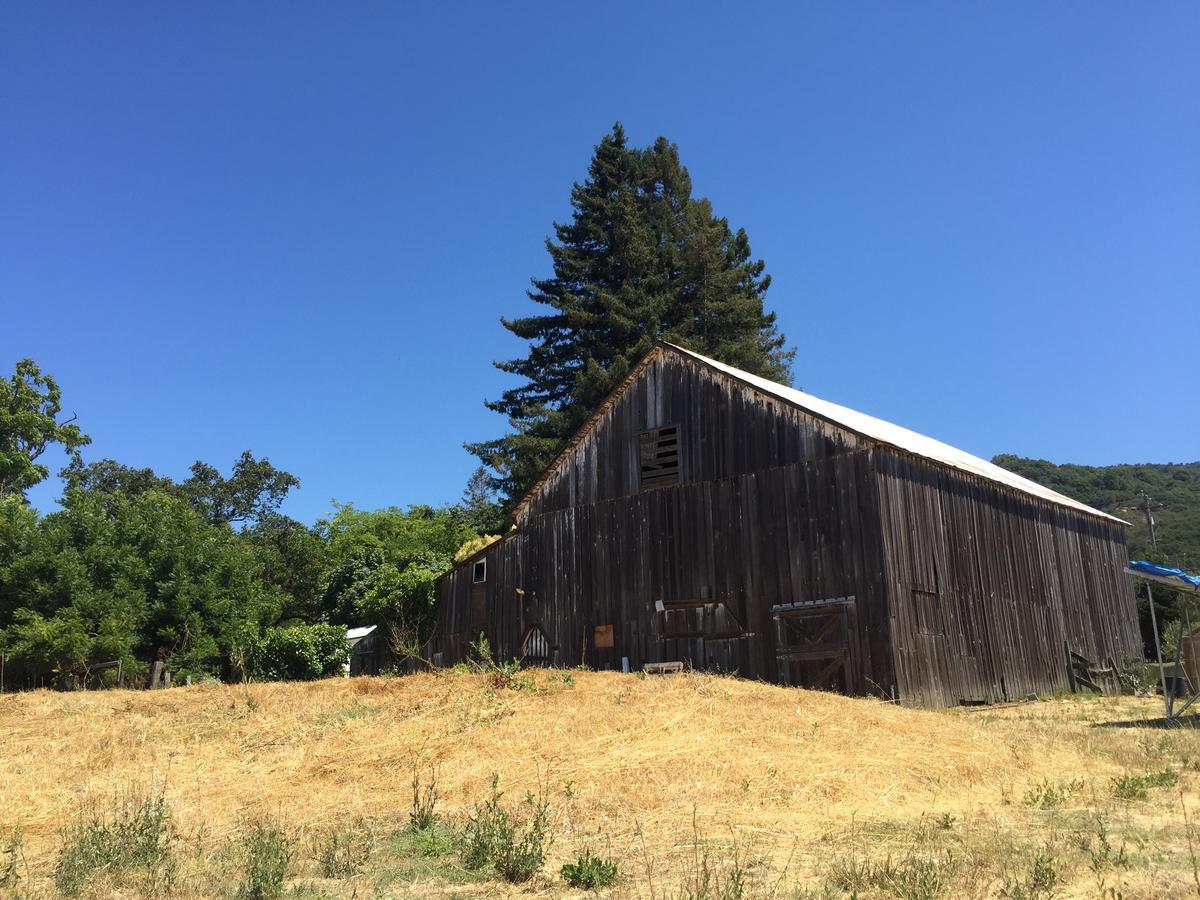 The Gables Wine Country Inn Santa Rosa Exterior foto