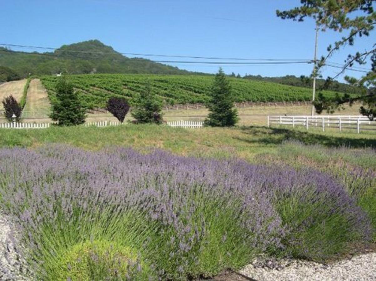 The Gables Wine Country Inn Santa Rosa Exterior foto